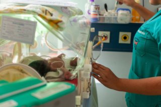 premature newborn in incubator