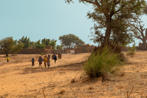 contesto Niger