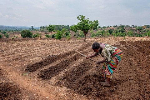 A woman working in the fields